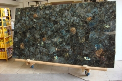 Labradorite with Fossils