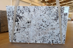 Splendor White