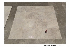 Silver Pearl