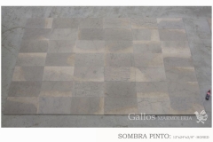 Sombra Pinto