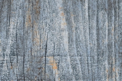 rondine-inwood-blue