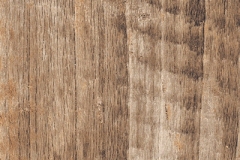 rondine-inwood-caramel