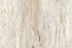 rondine-inwood-ivory