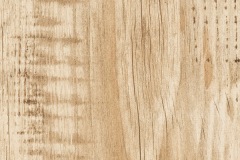 unicom-kauri-golden